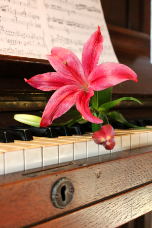 TAKE 5 - Effektive Übetechniken für Pianisten und Organisten
